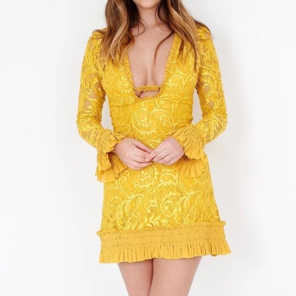 Alexis Nuray mini dress - Picture 3 of 10